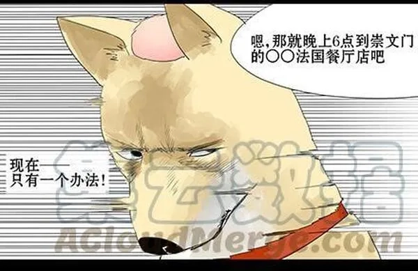 一条狗,第四十三话,第11张