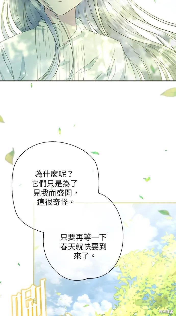 後院盛開的紫羅蘭,第28話,第35张