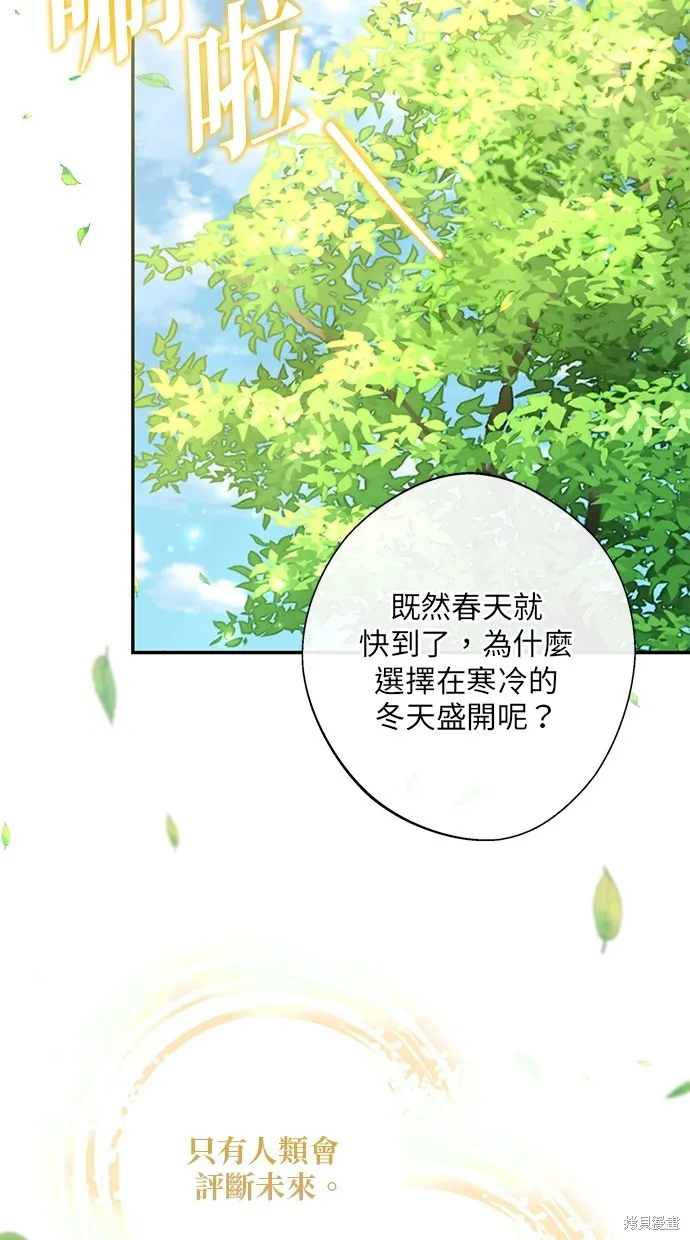 後院盛開的紫羅蘭,第28話,第36张