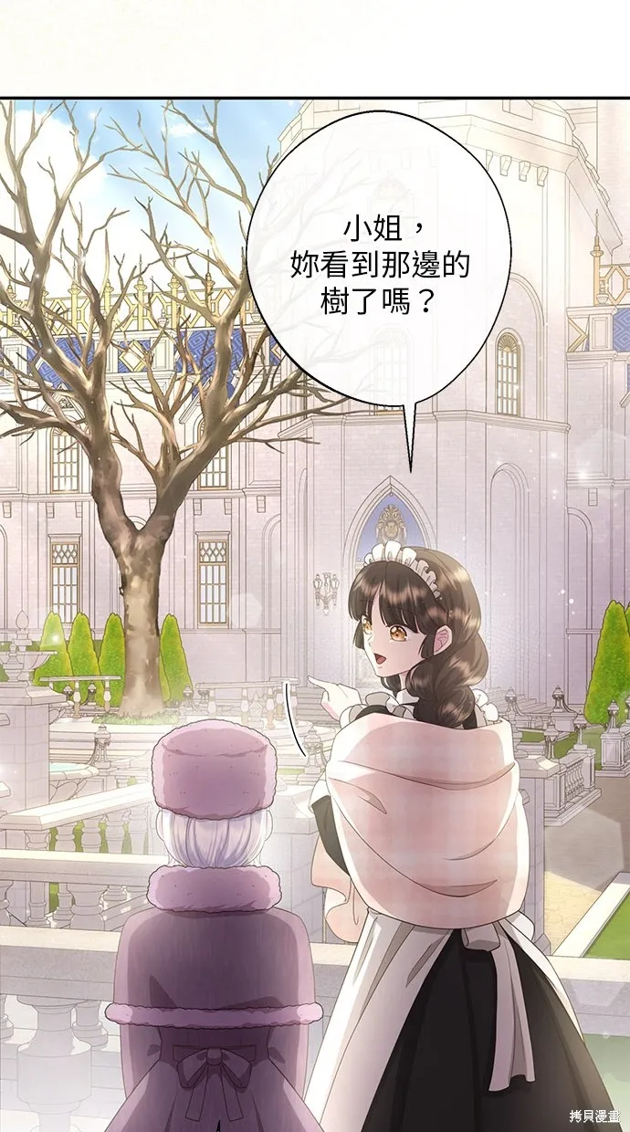 後院盛開的紫羅蘭,第28話,第57张