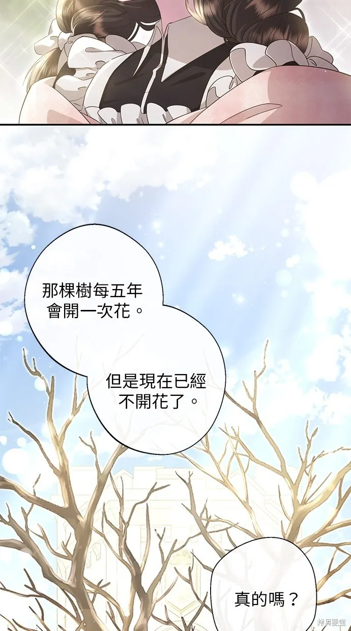 後院盛開的紫羅蘭,第28話,第59张