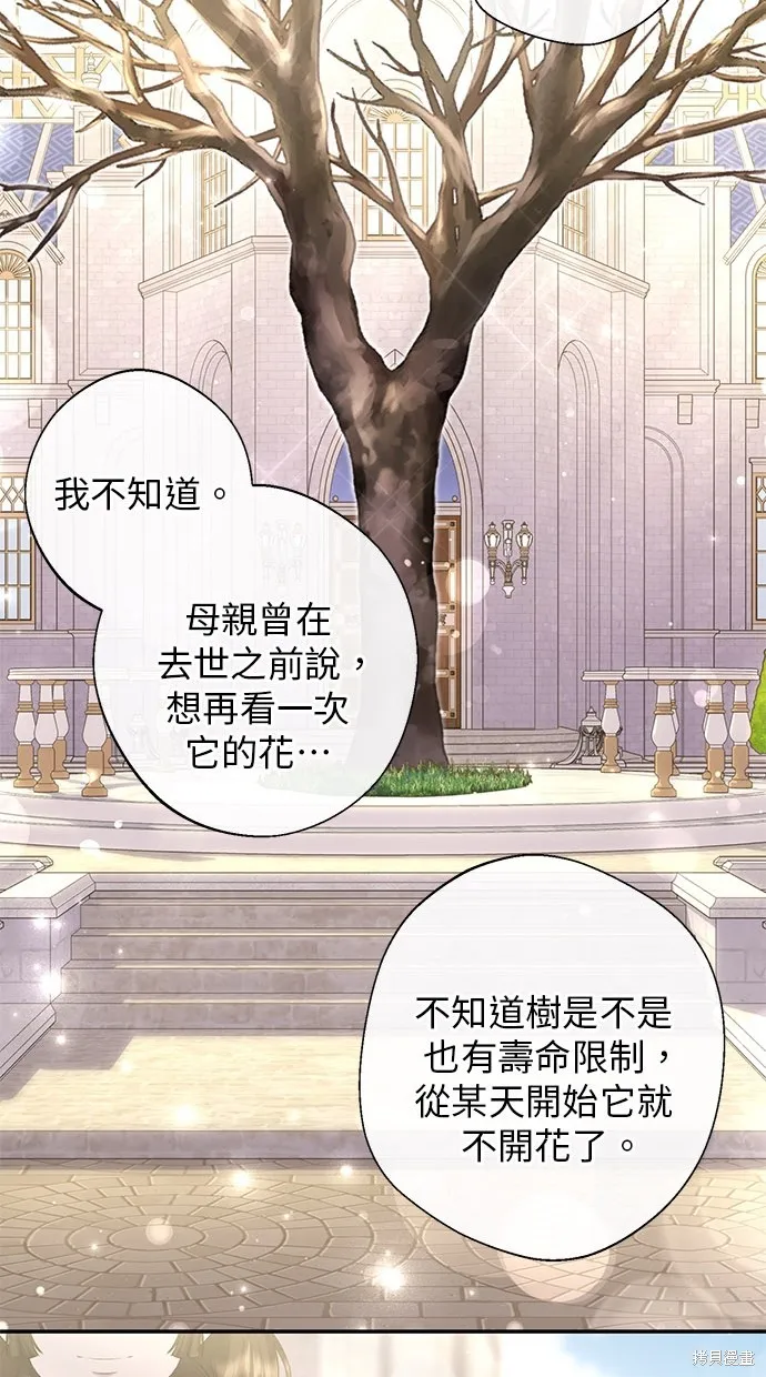後院盛開的紫羅蘭,第28話,第60张