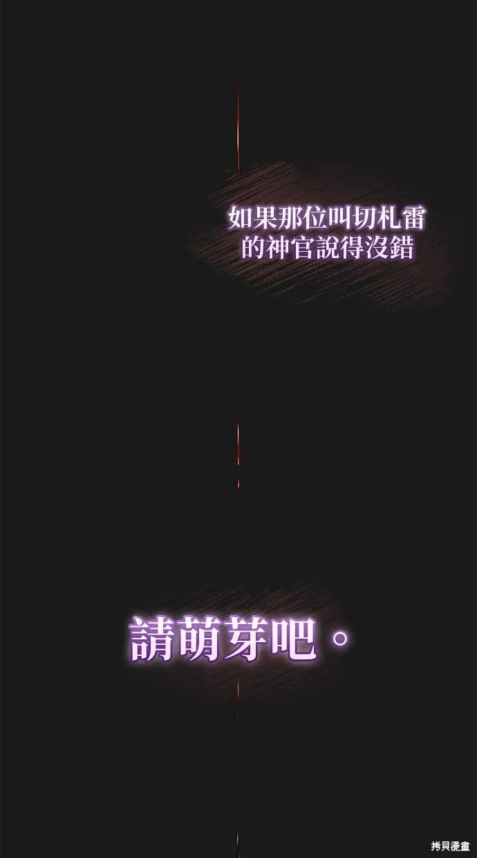 後院盛開的紫羅蘭,第341話,第41张
