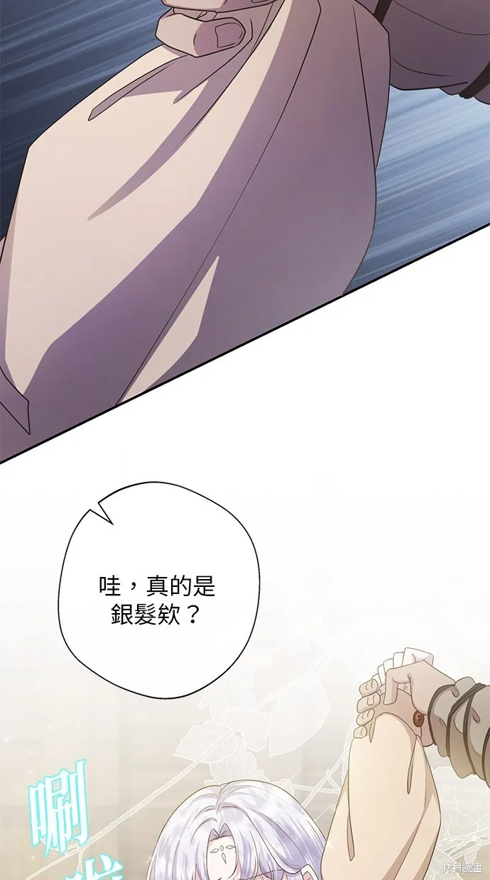 後院盛開的紫羅蘭,第341話,第8张