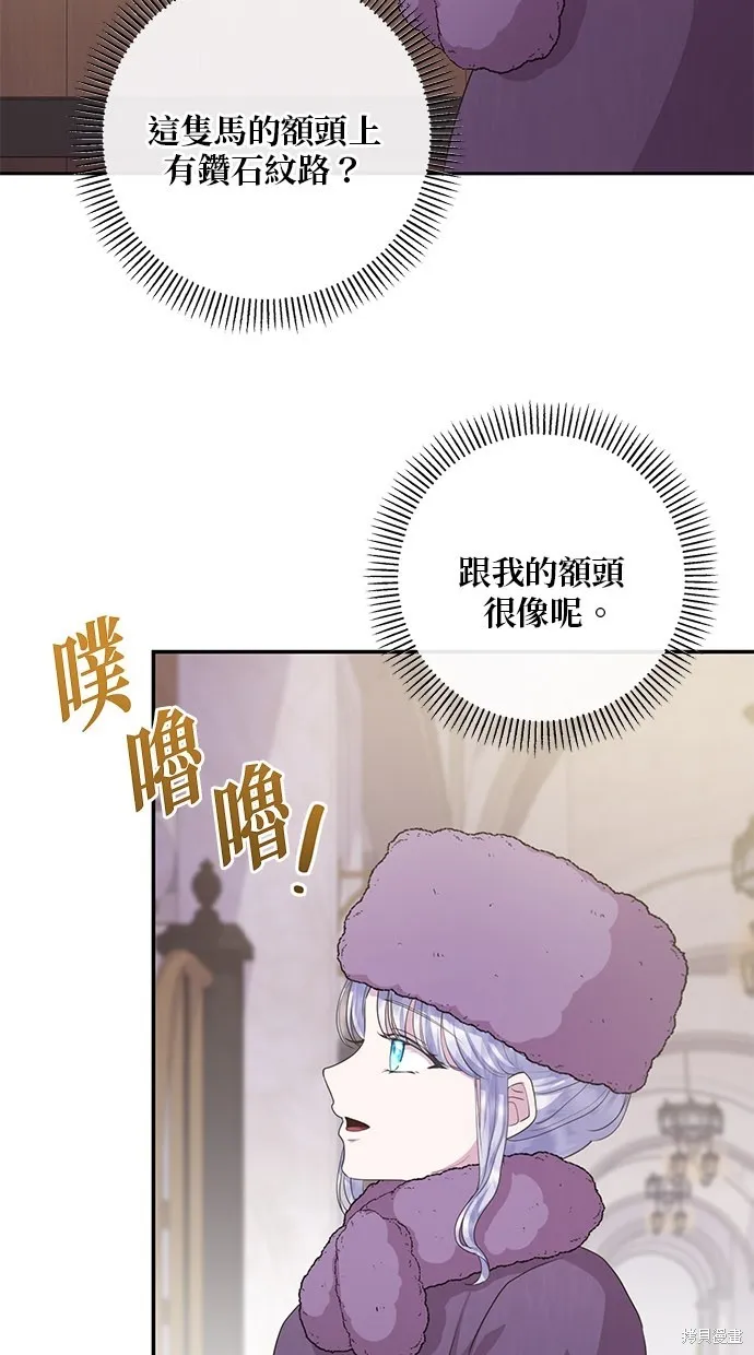 後院盛開的紫羅蘭,第29話,第18张