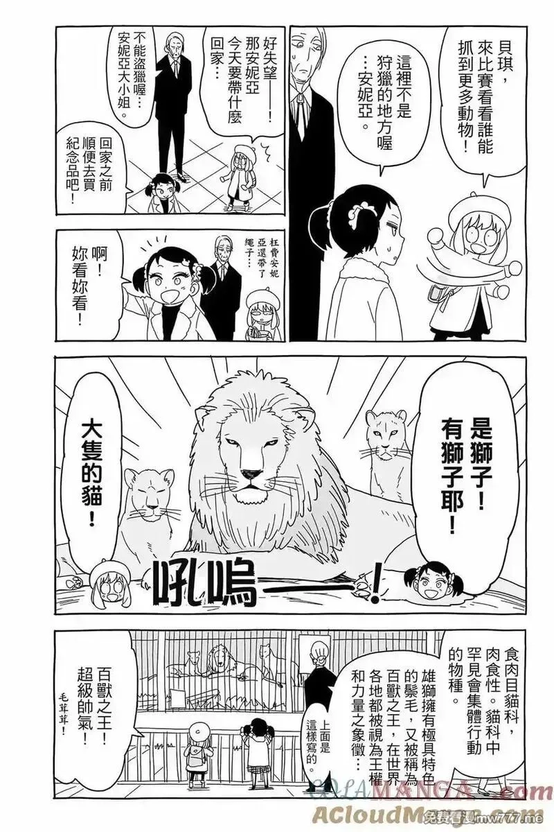 间谍过家家,第12卷,第189张