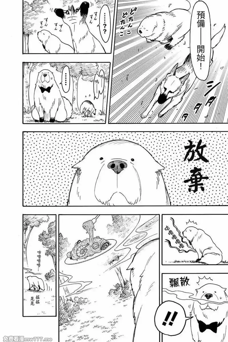 间谍过家家,第12卷,第59张