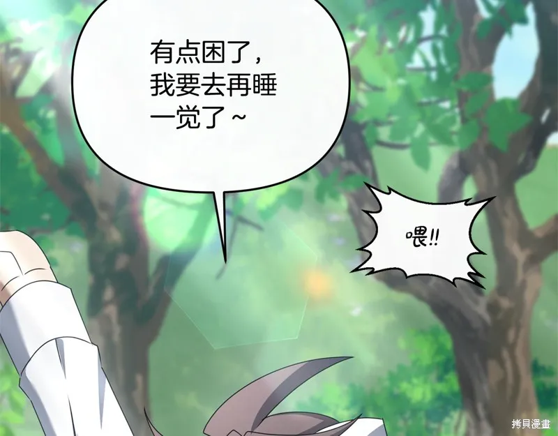 剑圣今天只想躺平,完结话,第186张