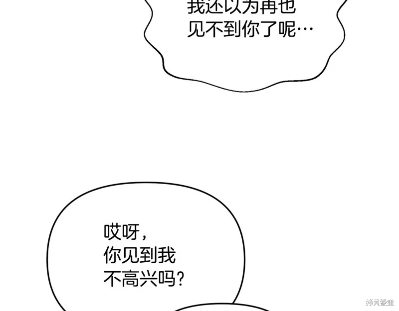 剑圣今天只想躺平,完结话,第44张
