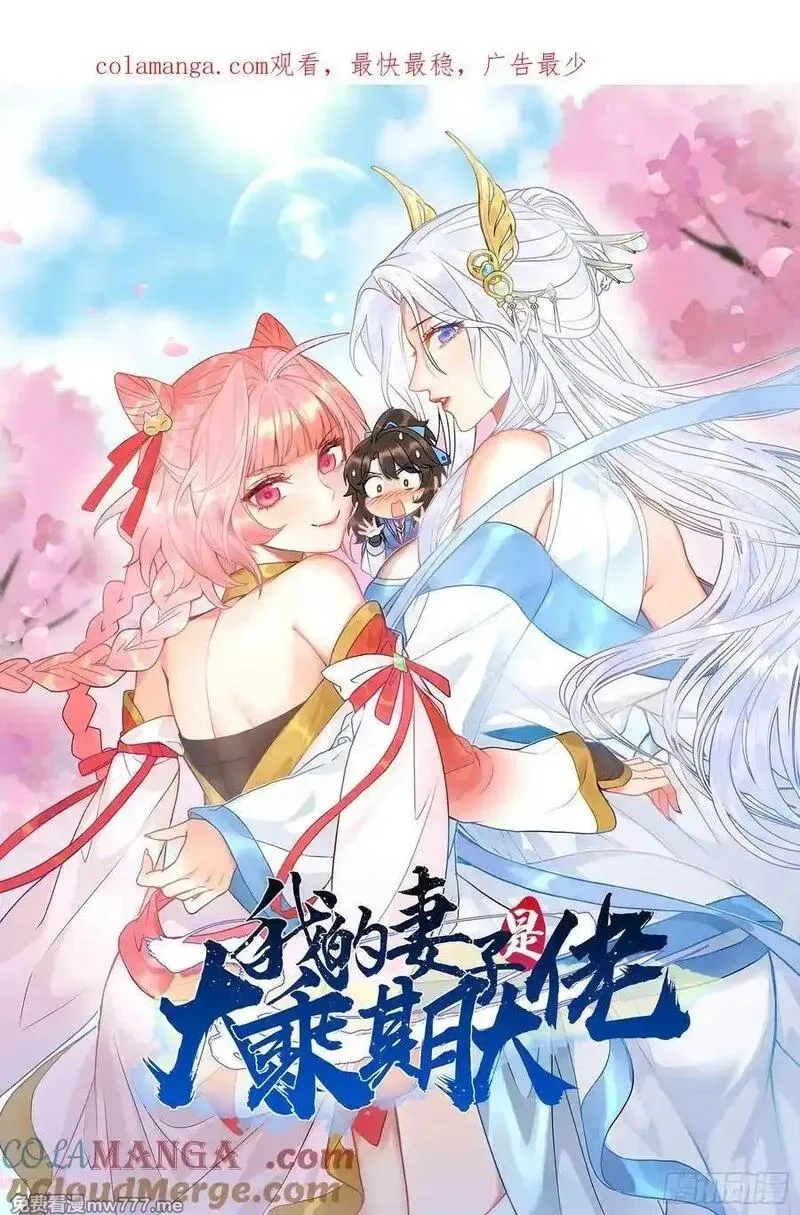 我的妻子是大乘期大佬,六千块极品灵石,第1张
