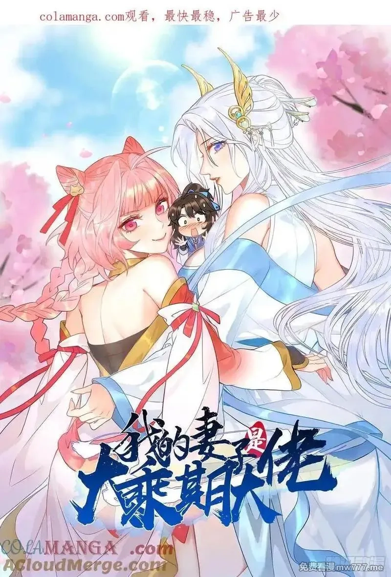 我的妻子是大乘期大佬,六千块极品灵石,第53张
