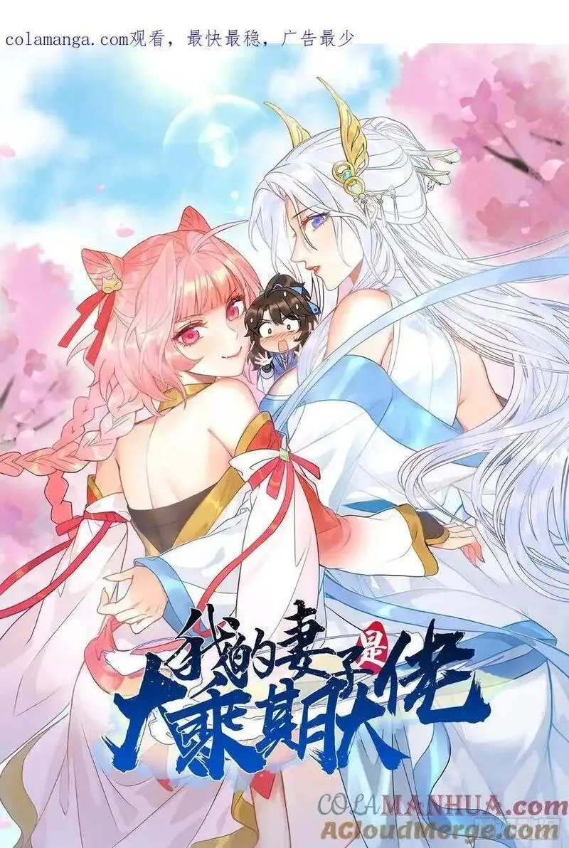 我的妻子是大乘期大佬,想要？得加钱！,第1张