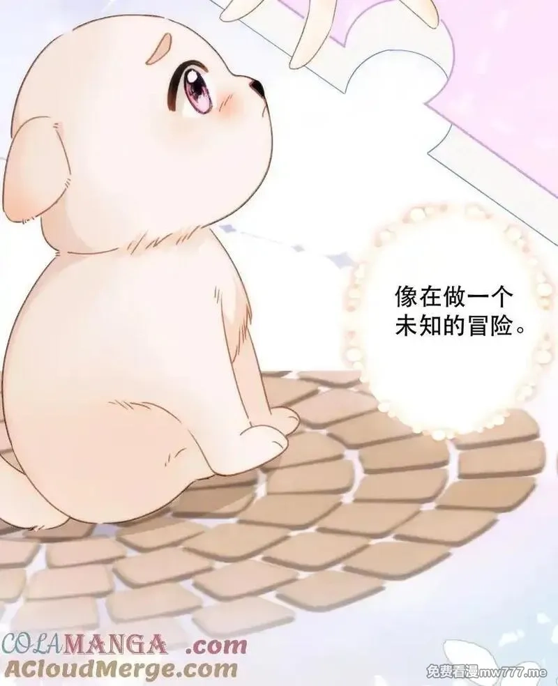希望你，真的很快乐,012 来我家住吗？,第55张