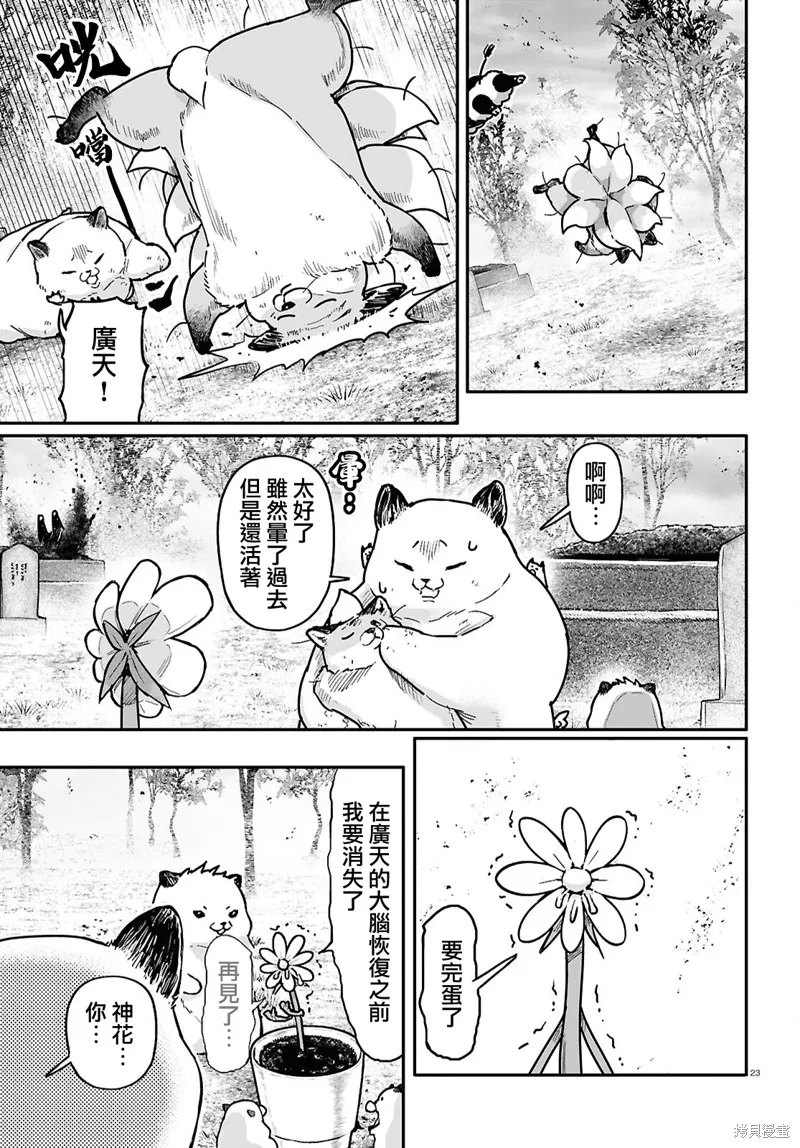 千年狐,第60话,第23张