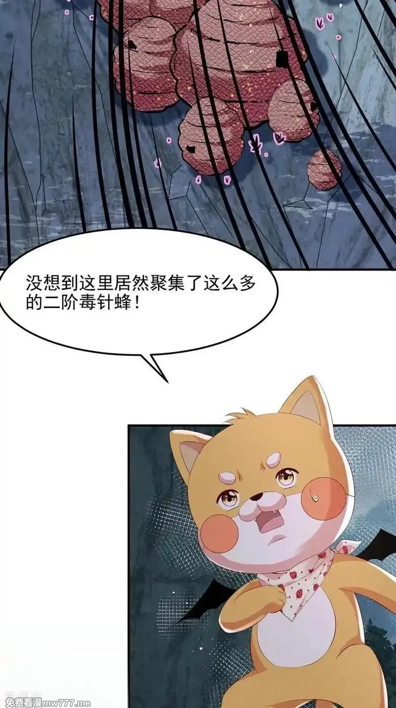 女阎罗的任务指南,第74话 借蜂巢一用哈~,第21张