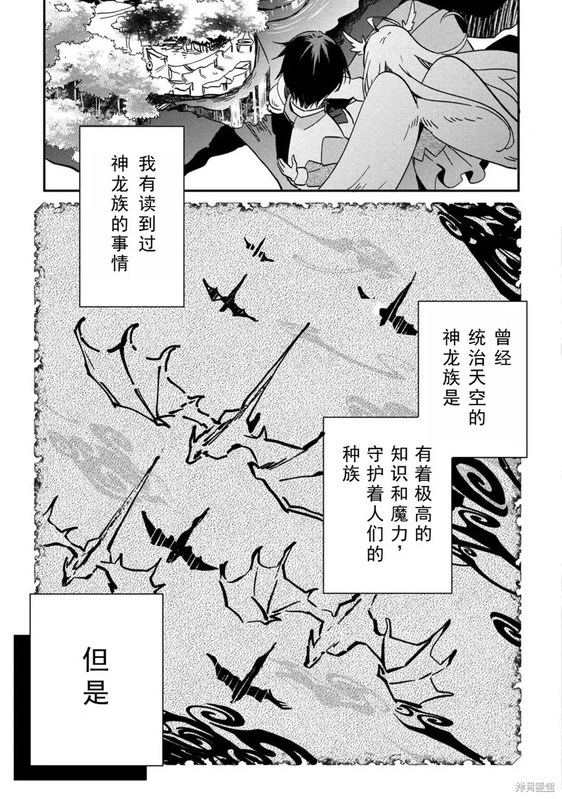 召唤蜥蜴(其实是神龙)的圣兽使，在龙背上的开拓生活,第1.2話,第20张