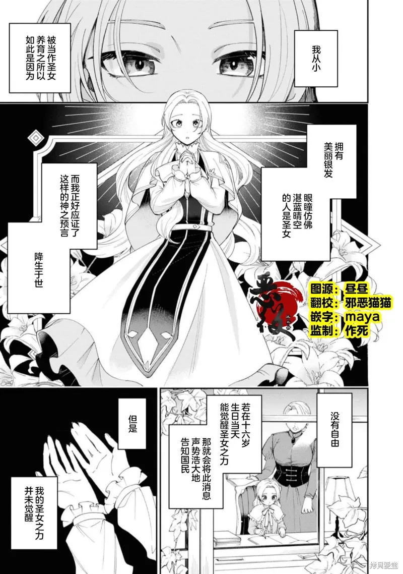 被认为是伪圣女的我好像是真圣女啊？,第09話,第3张