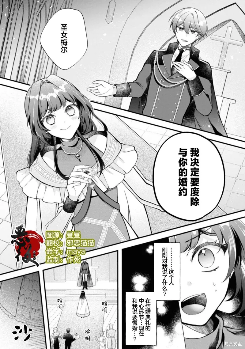被认为是伪圣女的我好像是真圣女啊？,第10話,第3张
