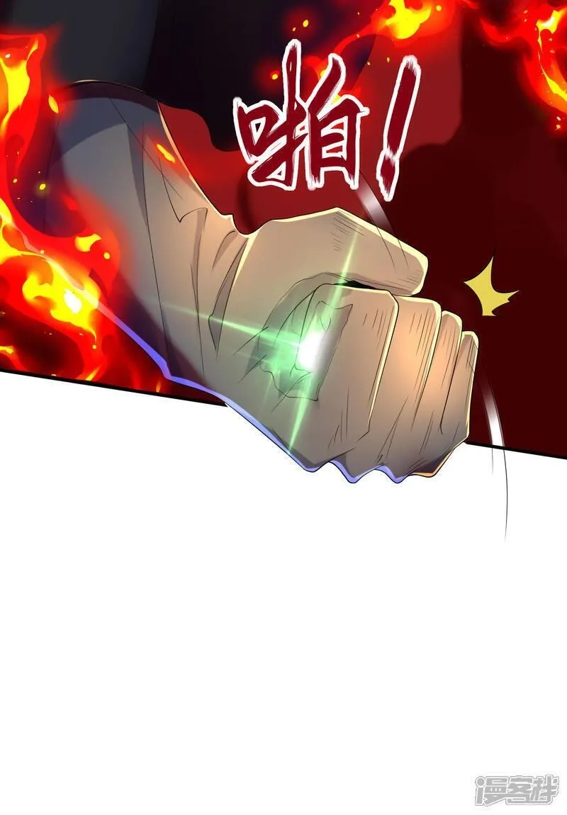 第一赘婿,第309话 久违了，紫檀！,第11张