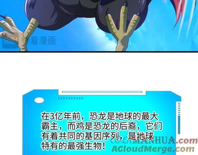 和女神合体后的我无敌了,最强战斗鸡,第61张