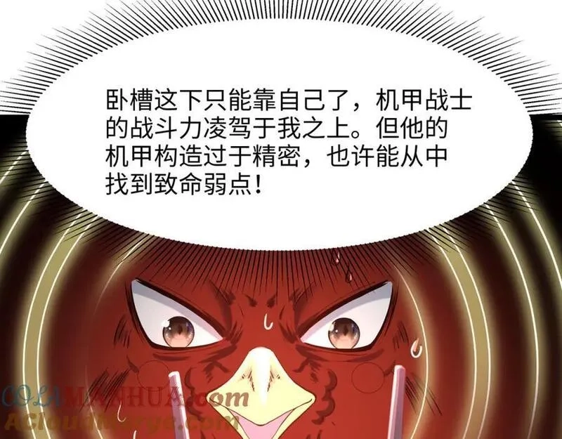 和女神合体后的我无敌了,最强战斗鸡,第73张