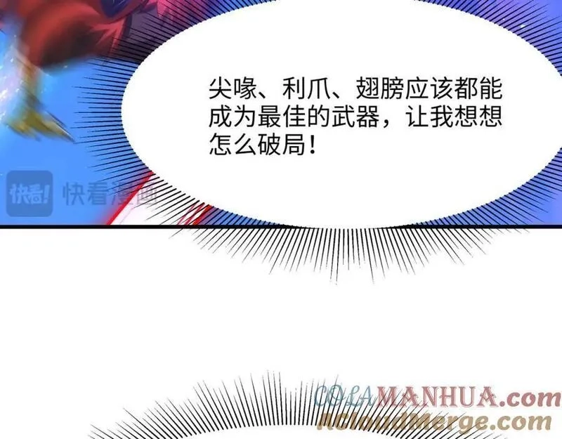 和女神合体后的我无敌了,最强战斗鸡,第81张