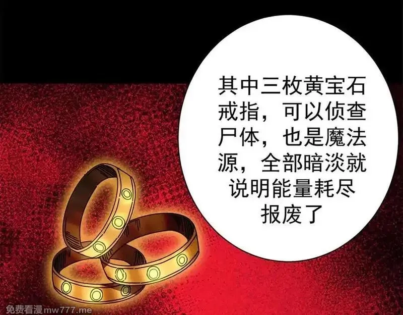 看守魔女们的典狱长,114 血腥24小时（上）,第106张