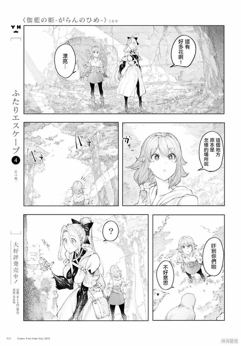 伽藍的公主,第10話,第5张