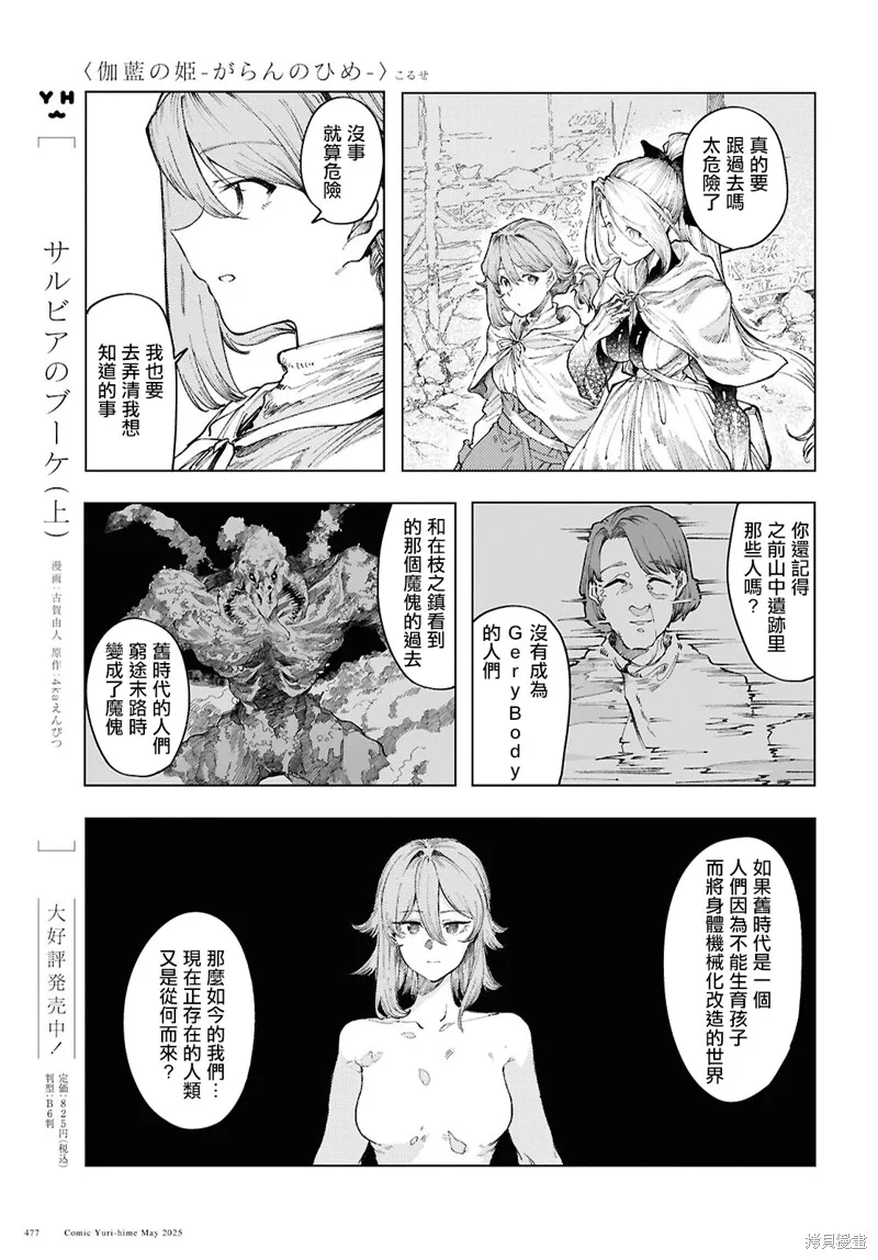 伽藍的公主,第16話,第13张