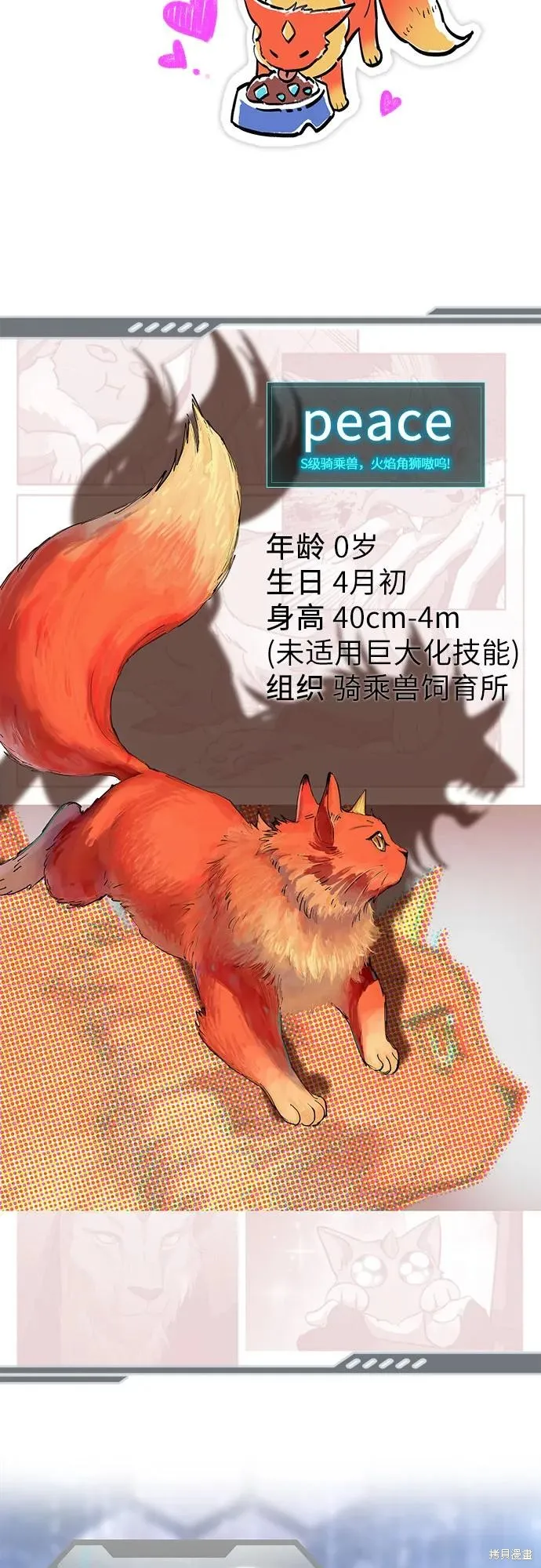 我培养的s级们,后记,第74张