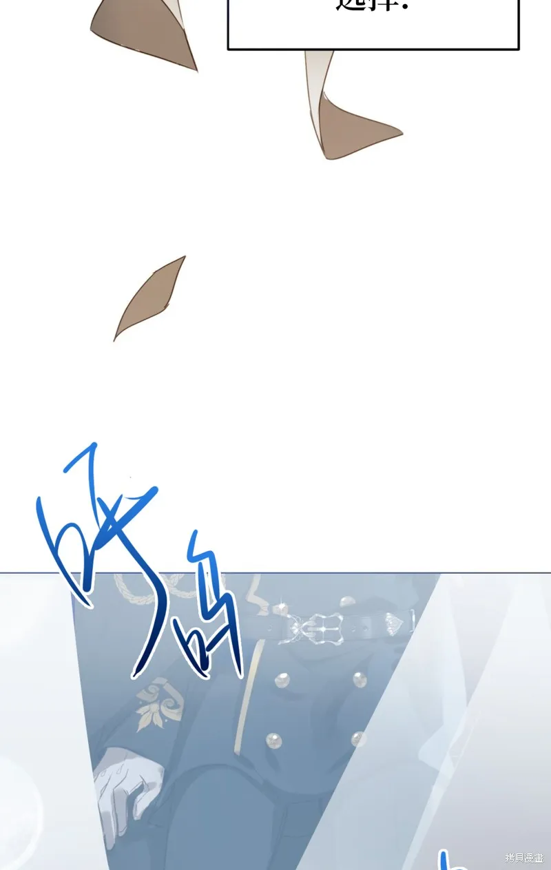 君主的替代者,宣傳漫,第43张