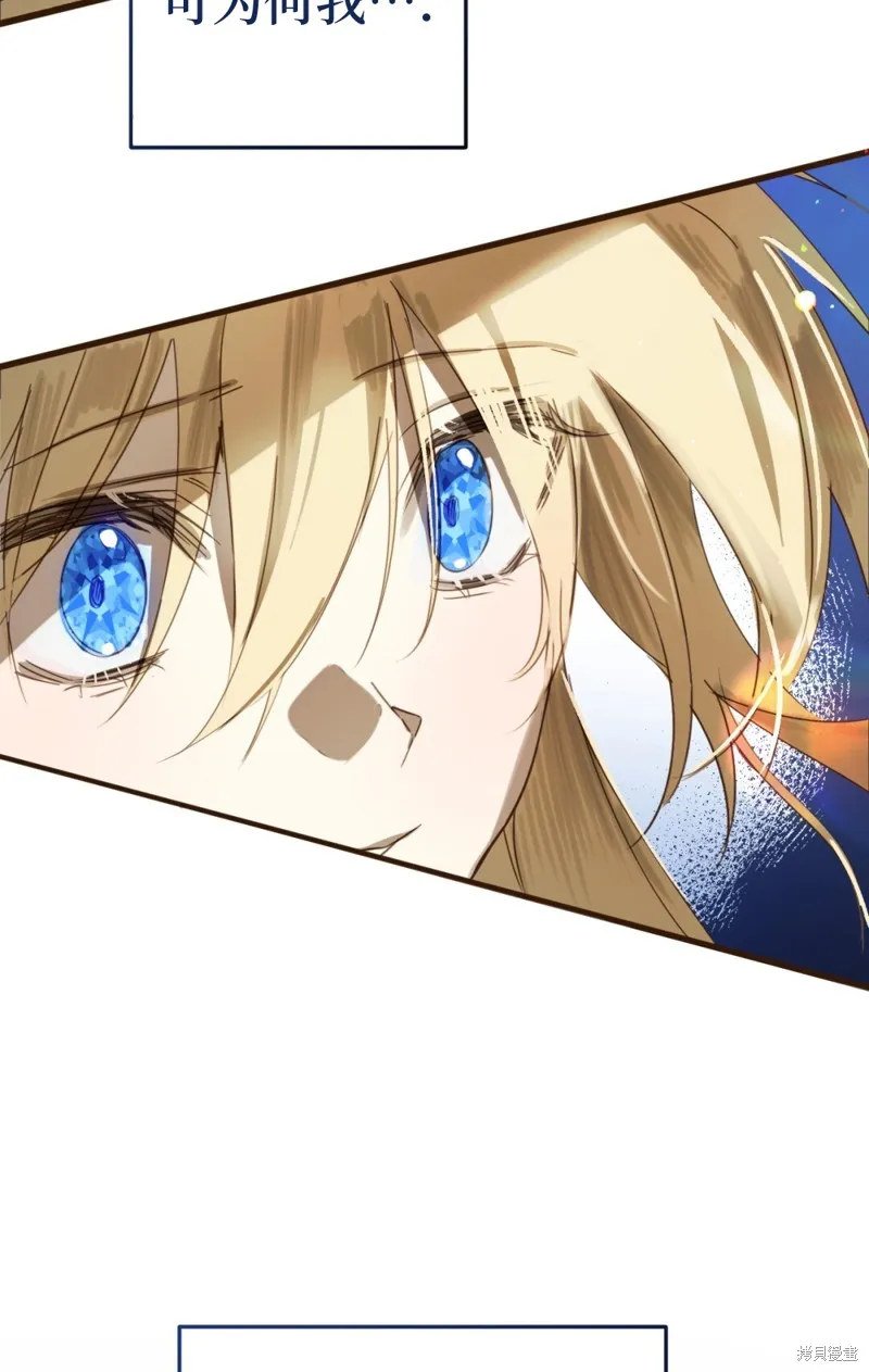 君主的替代者,宣傳漫,第45张