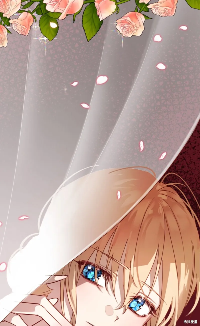 君主的替代者,宣傳漫,第5张