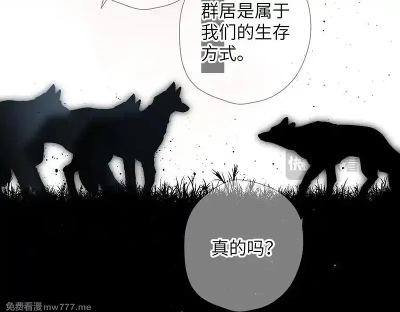 溯洄春时,第32话 命运的礼物,第22张