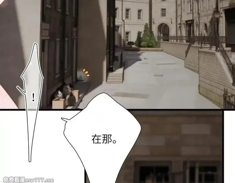 溯洄春时,第29话 谢了,第75张