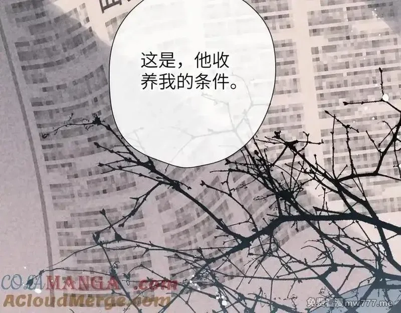 溯洄春时,第31话 小动物,第88张