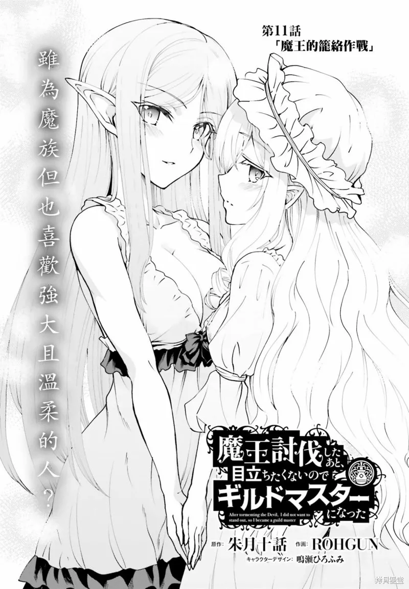 討伐魔王之後不想出名，於是成為公會會長,第11话,第1张