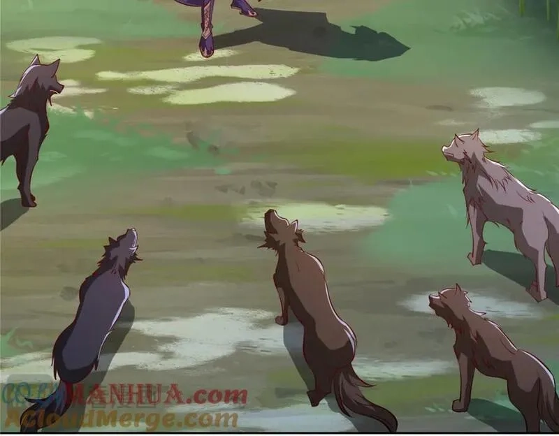 我说苟，系统说狗带,096 征服狼王,第7张