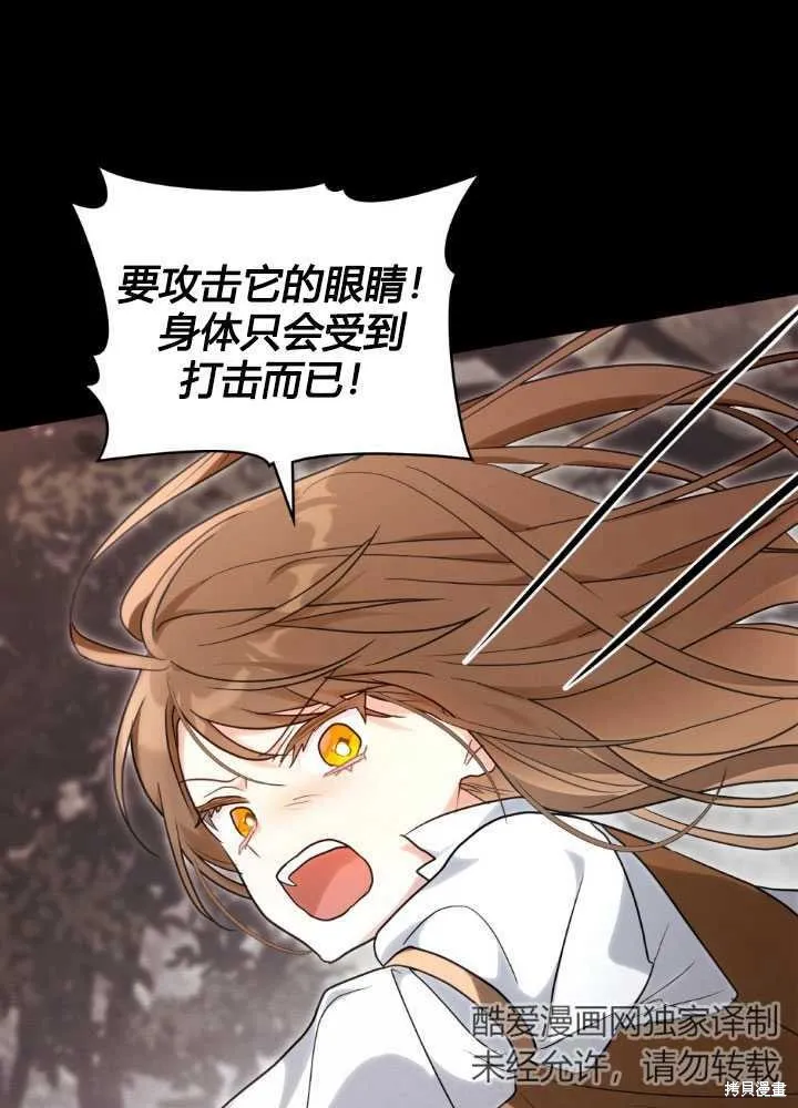 如若爱上了时日不多的公主,第27话,第66张