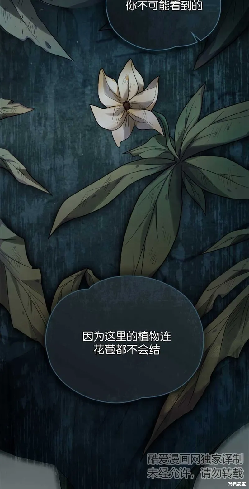 如若爱上了时日不多的公主,第14话,第19张
