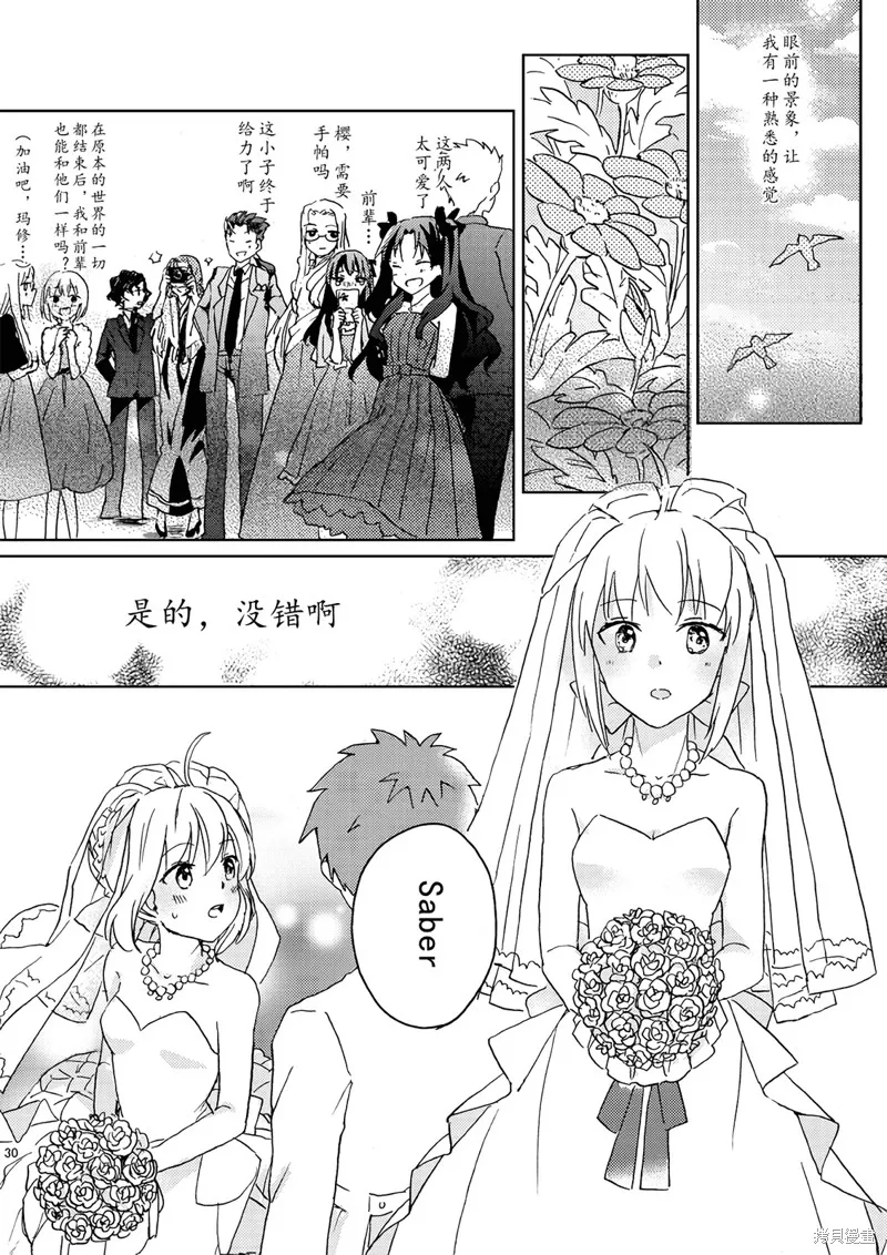 FGO同人合集,第70话,第29张