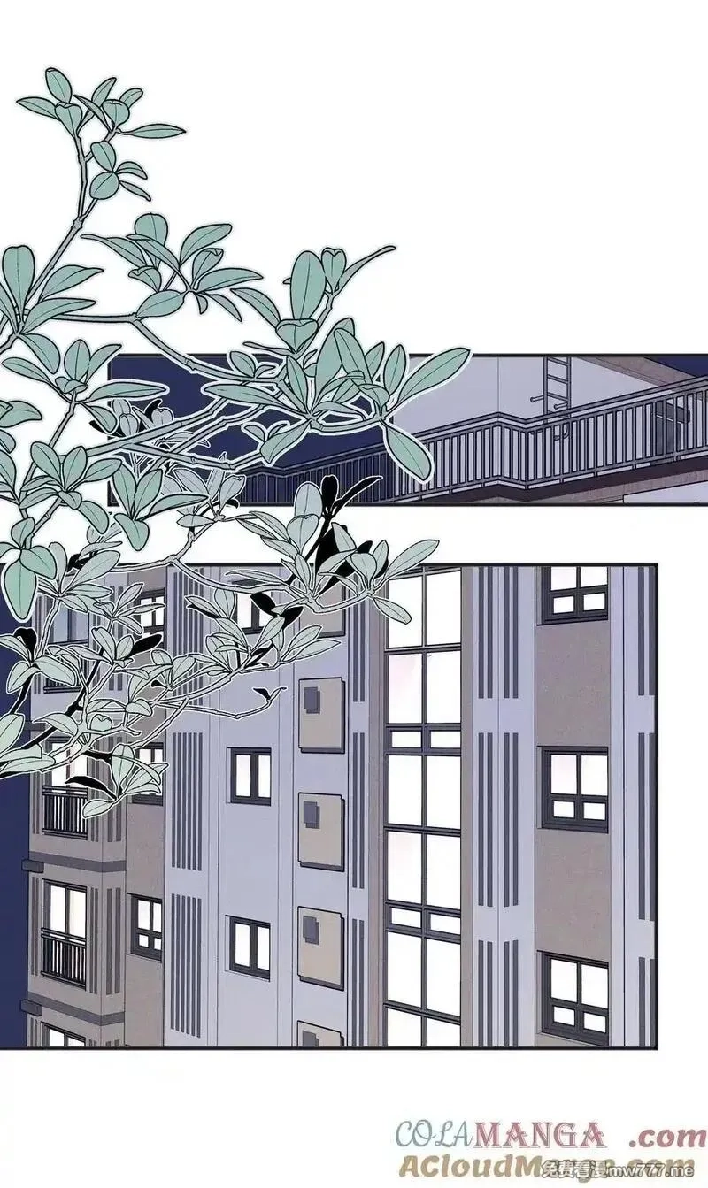 雨眠,62 你的愿望实现了吗,第15张