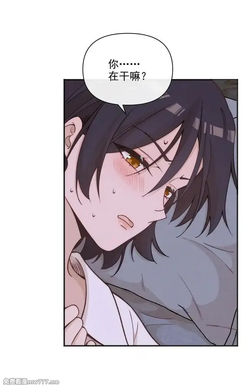 雨眠,59 诗人和爱人,第10张