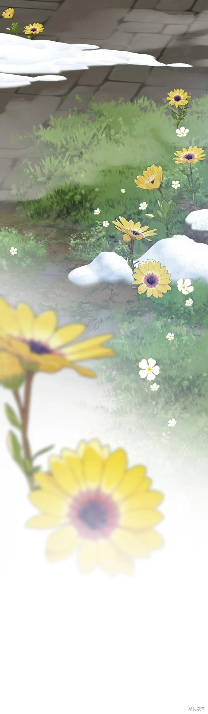 騎士如何過著淑女的生活,第161话,第35张