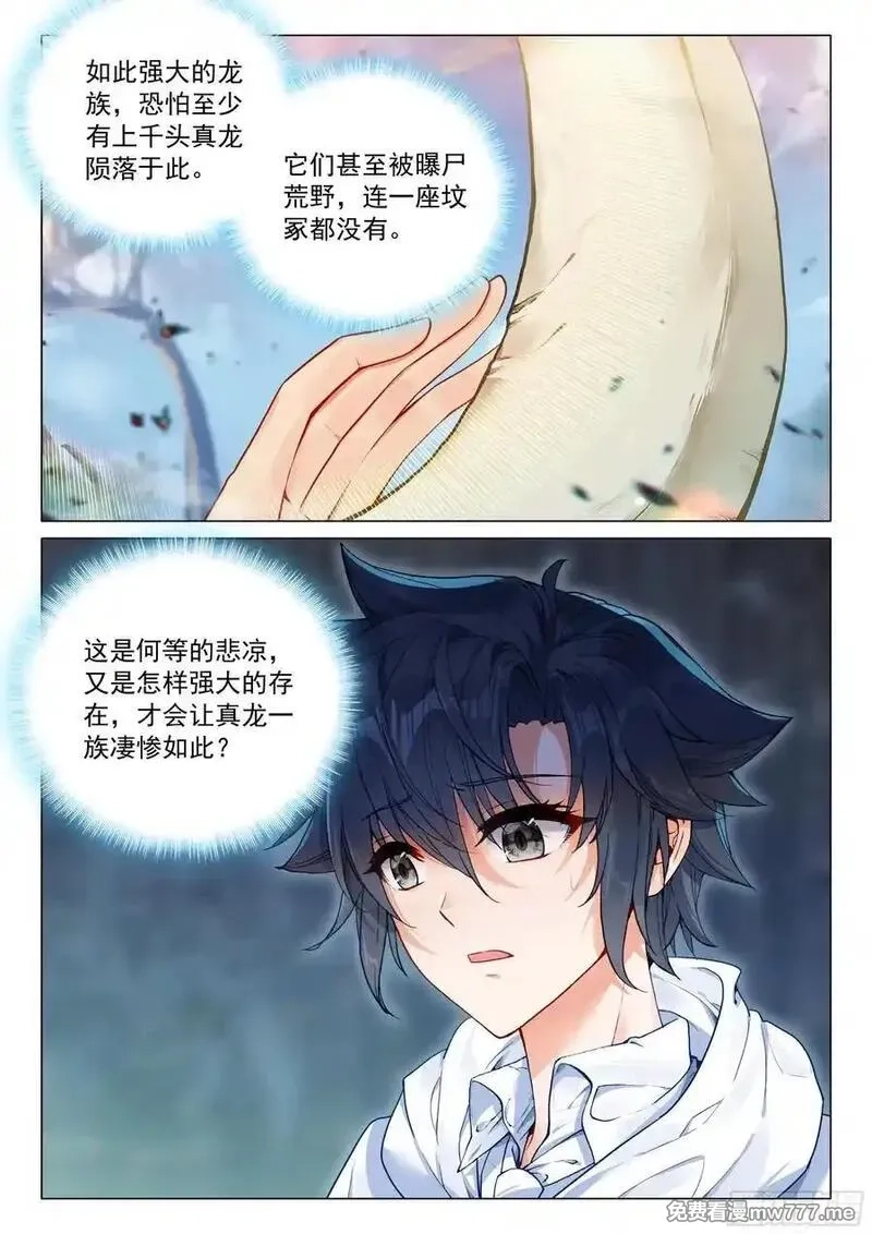 斗罗大陆 第三部 龙王传说,374 龙族墓地,第12张