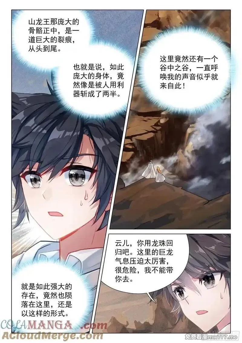斗罗大陆 第三部 龙王传说,374 龙族墓地,第15张