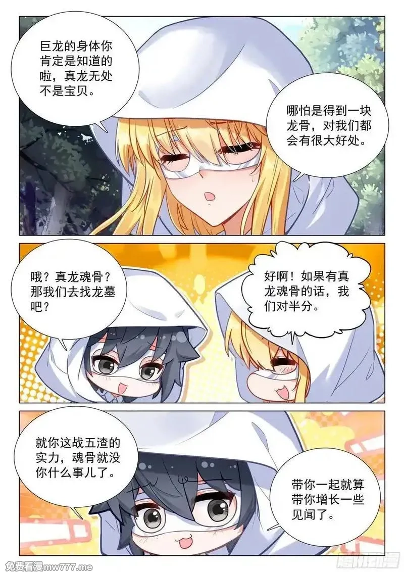 斗罗大陆 第三部 龙王传说,372 合作,第12张