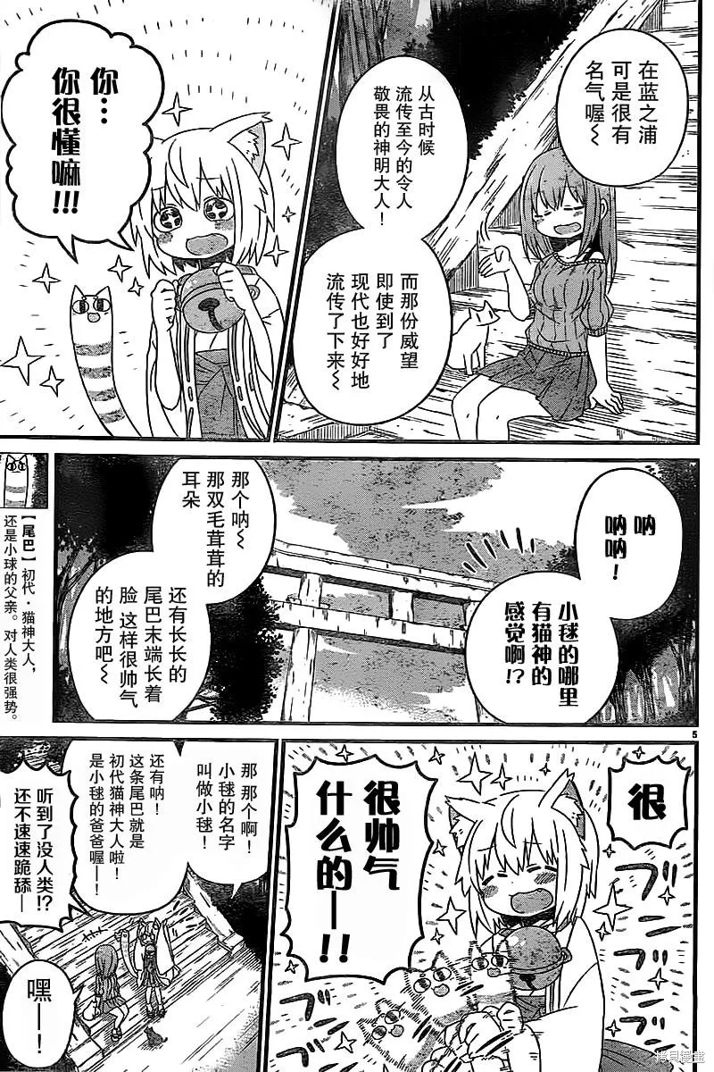猫神逗猫草！,第5话,第5张