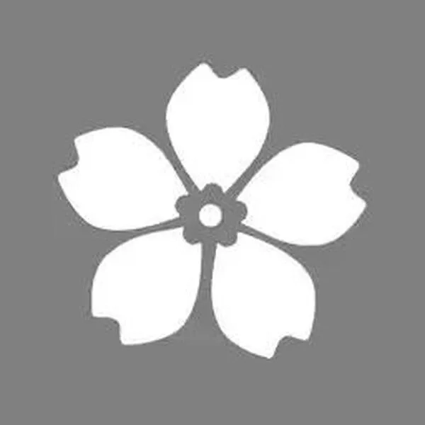 没药根本撑不住的魔法师,33.分道扬镳,第13张