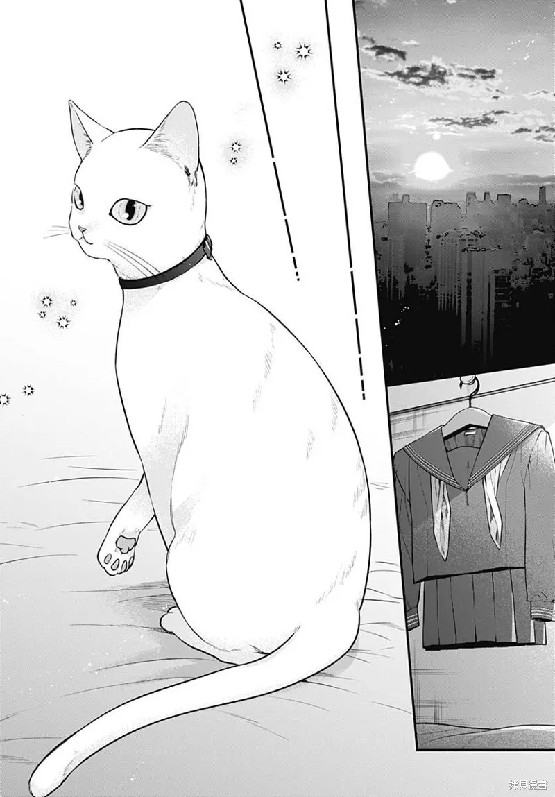 咪醬好想被養,第08話,第27张